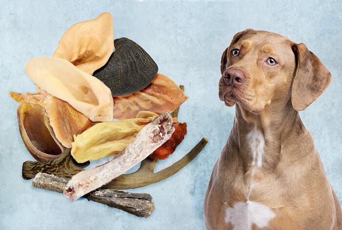 10 All-Natural Dog Chews: Their Benefits and Risks