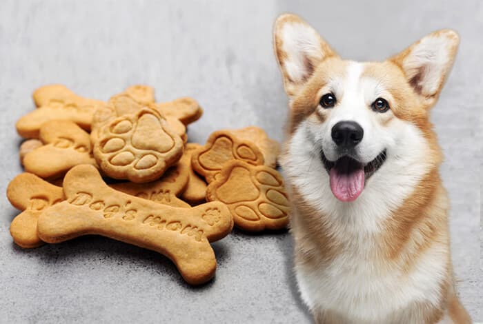 7 Healthy Homemade Dog Biscuit Recipes