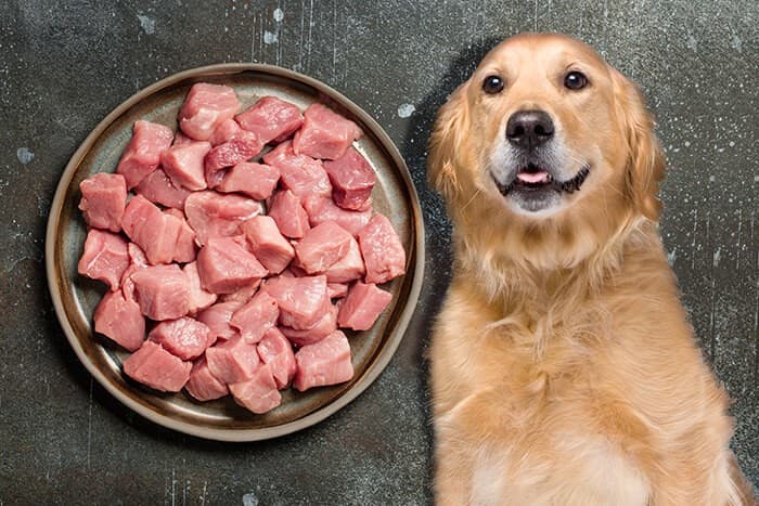 can-dogs-eat-goat-meat-benefits-risks